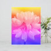 ピンクと白の花がクローズアップ (スタンド正面)