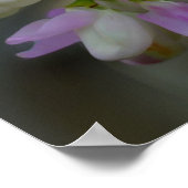 ピンクと白の花がクローズアップ ポスター (角)