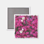 ピンクと白の花のマグネット マグネット (正面/裏面)