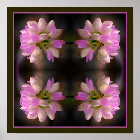 ピンクと白の花クローズアップ抽象芸術 ポスター (正面)
