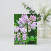 ピンクと白の花芽 ポストカード (スタンド正面)