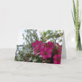 ピンクと白の花 – Martha's Vineyard Card カード (正面)