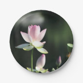 ピンクと白の蓮の花 ペーパープレート (正面)