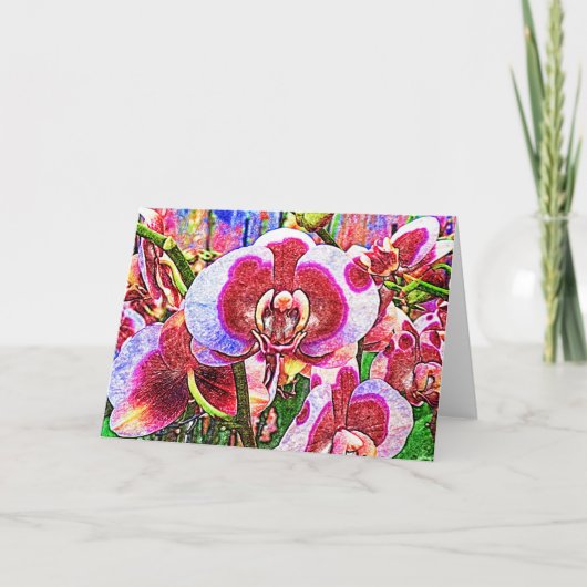 ピンクと白の蘭の花のカード カード (正面)