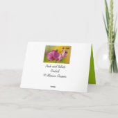 ピンクと白の蘭 カード (裏面)