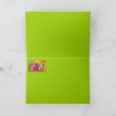 ピンクと白の蘭 カード (内部)