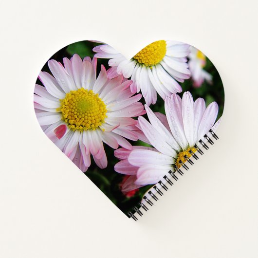 ピンクと白の3つのデイジー ノートブック (裏面)