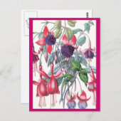 ピンクと紫つるの明るい赤紫色の花 ポストカード (正面/裏面)