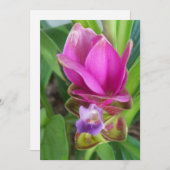 ピンクと紫のウコンの花の写真 招待状 (正面/裏面)