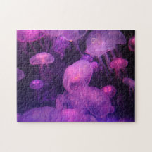 ピンクと紫のクラゲ