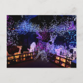 ピンクと紫のクリスマスデコレーションアウトドア シーズンポストカード (正面)