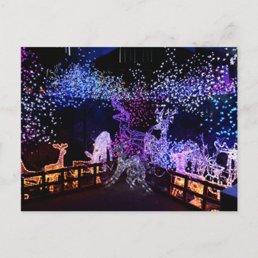 ピンクと紫のクリスマスデコレーションアウトドア シーズンポストカード (正面)