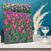 ピンクと紫のチューリップ春園 フォトプラーク (側面)