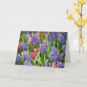 ピンクと紫のヒアシンスのグリーティングカード カード (黄色い花)