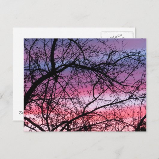 ピンクと紫の夕日 ポストカード (正面/裏面)