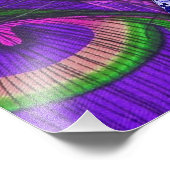 ピンクと紫の孔雀 フォトプリント            (角)