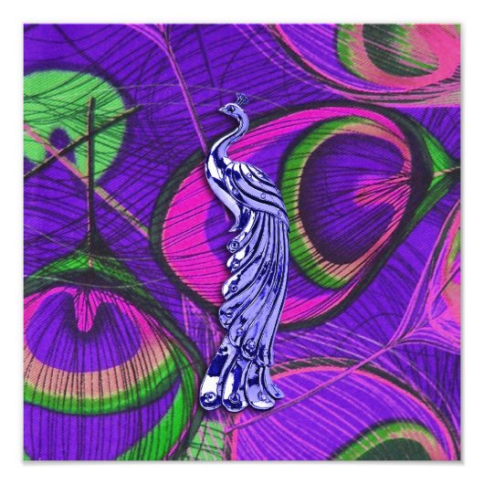 ピンクと紫の孔雀 フォトプリント            (正面)