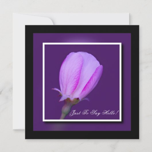 ピンクと紫の春ブロッサムハロー カード (正面)