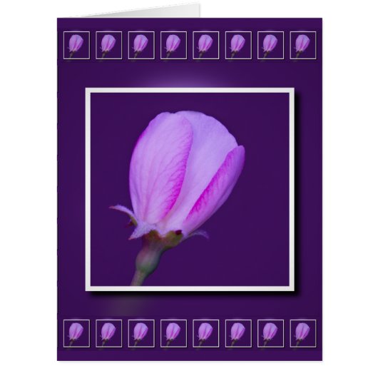 ピンクと紫の春花のグリーティングカード (正面)