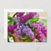 ピンクと紫の春薄紫の花かご ポストカード (正面/裏面)