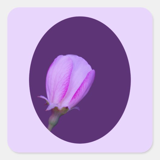 ピンクと紫の春 スクエアシール (正面)