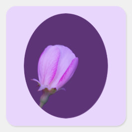 ピンクと紫の春 スクエアシール