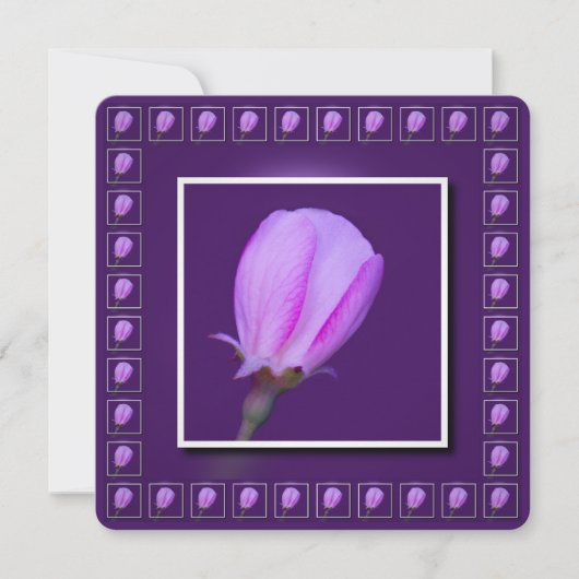 ピンクと紫の春 招待状 (正面)