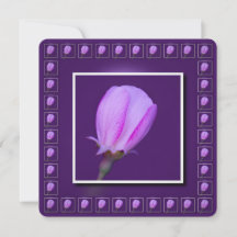 ピンクと紫の春