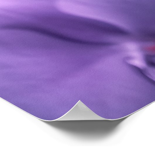 ピンクと紫の蘭の花を訪れる蝶 ポスター (角)