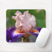 ピンクと紫の髭あめフローラ マウスパッド (マウス)