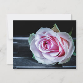 ピンクと緑のバラ 招待状