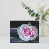 ピンクと緑のバラ 招待状 (スタンド正面)