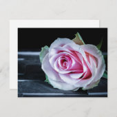 ピンクと緑のバラ 招待状 (正面/裏面)