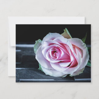 ピンクと緑のバラ 招待状