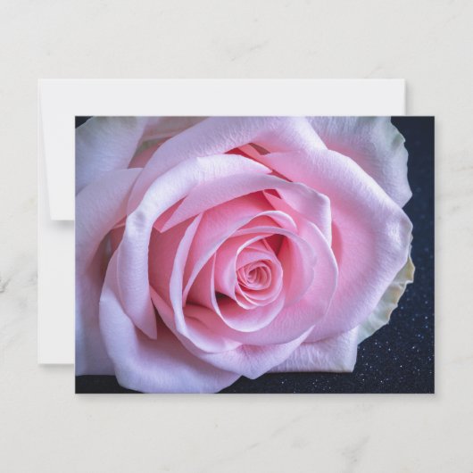 ピンクと緑のバラ 招待状 (正面)