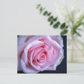 ピンクと緑のバラ 招待状 (スタンド正面)