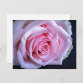 ピンクと緑のバラ 招待状 (正面/裏面)