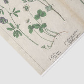 ピンクと緑の野草 薄葉紙 (詳細)