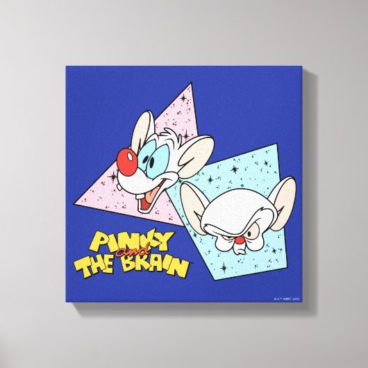 ピンクと脳 |レトロキャラクターグラフィックス キャンバスプリント (正面)