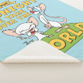 ピンクと脳 |世界を引き継ぐ シェルパブランケット (3/4)