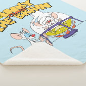 ピンクと脳 |研究室科学 シェルパブランケット (3/4)