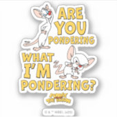 ピンクと脳 |考えてるのか? シール (正面)