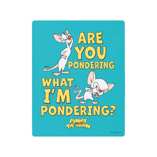 ピンクと脳 |考えてるのか？ メタルプリント (正面)