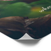 ピンクと赤のパンジーの花で雨粒が覆われている ポスター (角)