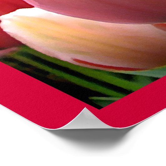 ピンクと赤の春チューリップガーデン花のポスター ポスター (角)