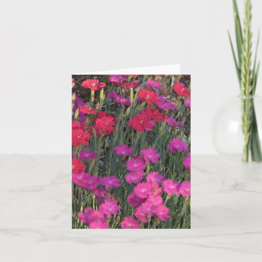 ピンクと赤の花の塊 カード (正面)