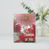 ピンクと赤の葉書のクローズアップDahlia花 ポストカード (スタンド正面)