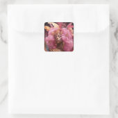 ピンクと金ゴールドの黒女神 スクエアシール (バッグ)