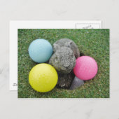 ピンクと青と黄色の卵を持つウサギ ポストカード (正面/裏面)
