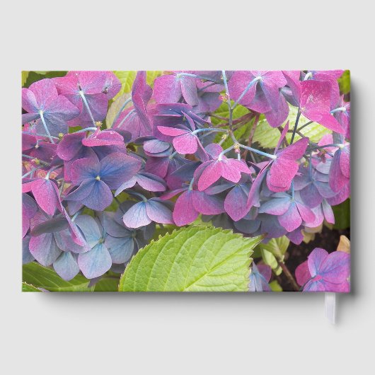 ピンクと青の花の花びら赤ちゃんシャワー ゲストブック (裏面)